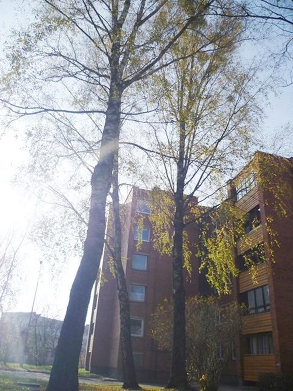 Saulys1 Apartment Druskininkai Cameră foto